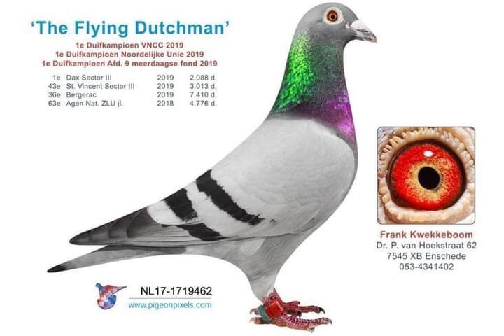 Flying Dutchman